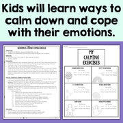Educational materials for teaching coping skills and emotional regulation to children.